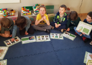 Dzieci rozmawiają o ślimakach oglądając ilustracje